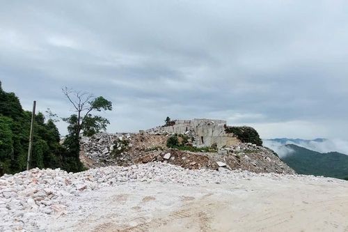 Yên Bái: Xử phạt Công ty Chân Thiện Mỹ gần 1,25 tỷ đồng
