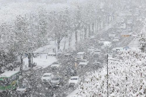Tuyết rơi kỷ lục ở Seoul (Hàn Quốc) khiến 5 người thiệt mạng