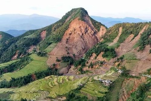 Sau thiên tai, Lào Cai tập trung cứu những cánh rừng