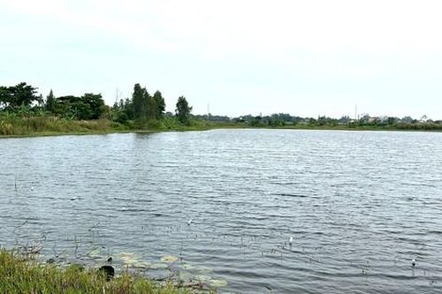 Làm rõ vụ việc Công ty CP xây lắp An Giang khai thác đất trái phép để làm gạch