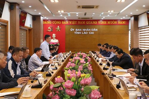 Tỉnh Lào Cai họp tháo gỡ vướng mắc cho các dự án truyền tải điện của EVNNPT