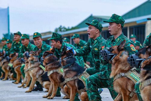 Chú chó cứu hộ ở Làng Nủ sẽ trình diễn tại Triển lãm Quốc phòng quốc tế Việt Nam