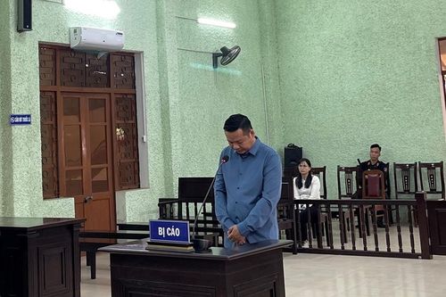 Vận chuyển sừng tê giác, vảy tê tê java để kiếm lời, lãnh án 3 năm tù