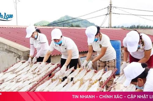 Các cơ sở OCOP vùng biển chuẩn bị cho thị trường cuối năm