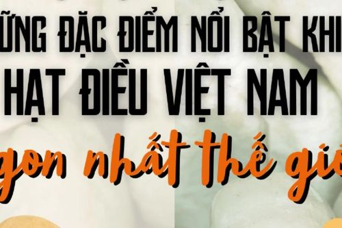 Vì sao hạt điều Việt Nam lại được đánh giá là 'ngon nhất thế giới'?