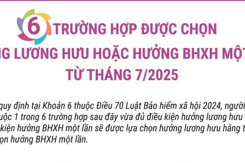6 trường hợp được chọn hưởng lương hưu hoặc Bảo hiểm xã hội 1 lần