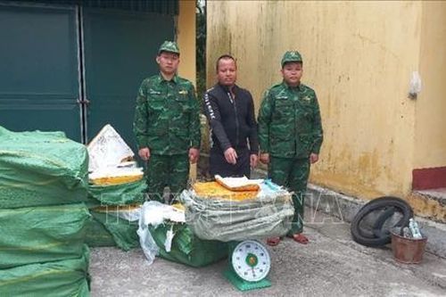Bắt giữ khoảng 880 kg nầm lợn không rõ nguồn gốc