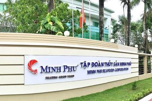 Kinh doanh thua lỗ, 'vua tôm' Minh Phú vẫn chi hàng trăm tỷ đồng trả cổ tức