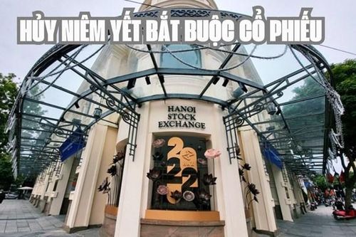 HNX xem xét hủy bỏ niêm yết bắt buộc với KTT và TKG