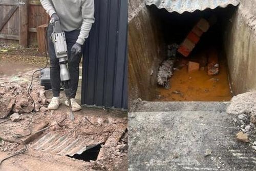 Sinh sống suốt 3 năm, chủ nhà dọn dẹp vườn nhà phát hiện điều bất ngờ