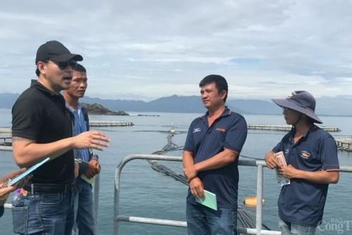Tăng cường phát triển kỹ năng cho ngành nuôi biển công nghiệp Việt Nam