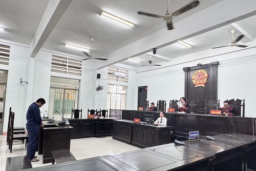 Trộm tài sản của người nước ngoài, 1 bị cáo lãnh án