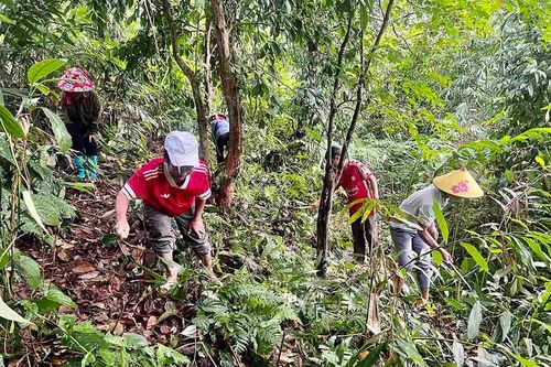 Mù Cả phát triển kinh tế