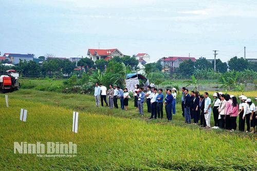 Thúc đẩy quản lý sức khỏe cây trồng tổng hợp