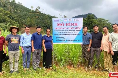Thay đổi nhận thức, thúc đẩy chăn nuôi an toàn sinh học thông qua dự án Chăn hênh