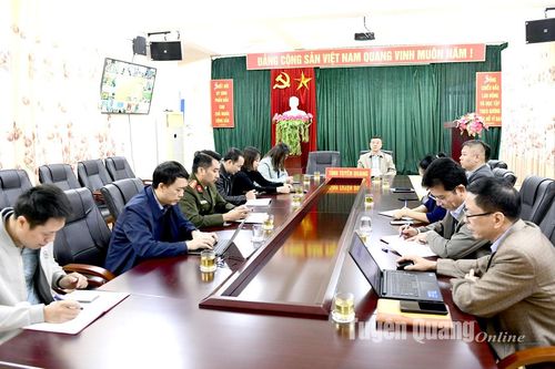 Tổng kết, đánh giá hoạt động lĩnh vực thông tin điện tử năm 2024, định hướng năm 2025