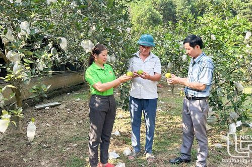 Xây dựng nông thôn mới: Chặng nước rút không dễ dàng - (bài 3) 'Đích' đã rất gần, nhưng…