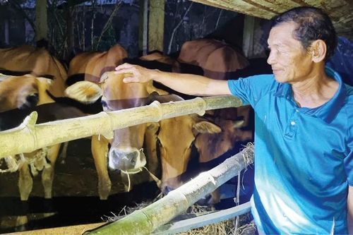 'Phải tự vươn lên'