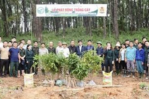 Phong Điền hưởng ứng chương trình trồng 1 tỷ cây xanh