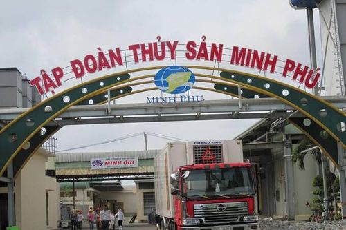 Thủy sản Minh Phú sắp trả cổ tức năm 2023, tỷ lệ 7,5%
