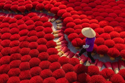 Làng hương cổ hơn 100 năm tuổi ở Hà Nội tất bật vào vụ Tết