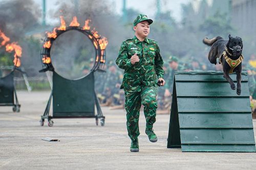 Điều đặc biệt về đội quân khuyển tham gia trình diễn tại Triển lãm Quốc phòng quốc tế Việt Nam