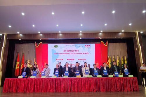 Hàng nghìn cơ hội việc làm cho sinh viên HUBT