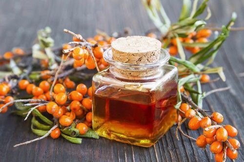 Omega-7 và omega-3 có gì khác nhau, loại nào tốt cho sức khỏe hơn?
