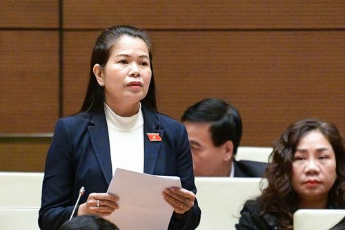 Đại biểu Quốc hội đề xuất bổ sung quy định xử lý trách nhiệm cơ quan chịu sự giám sát