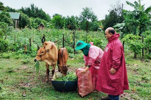 Khơi dậy ý chí tự lực vươn lên thoát nghèo của đồng bào dân tộc thiểu số