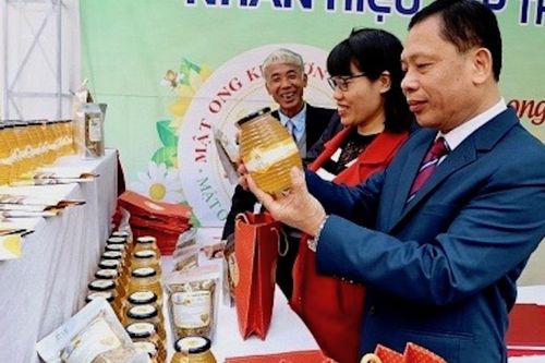 Thị xã Sơn Tây: mật ngọt trên đất Kim Sơn