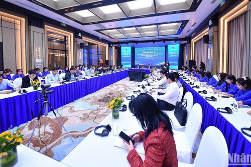 Xây dựng chính sách về thanh niên tình nguyện từ kinh nghiệm thực tế toàn cầu