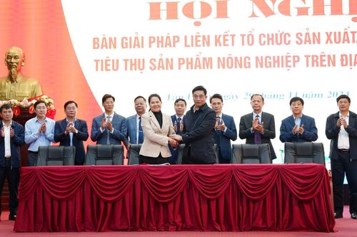 Lai Châu bàn giải pháp liên kết sản xuất, chế biến, tiêu thụ nông sản