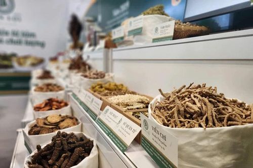 Lối ra cho dược liệu Việt