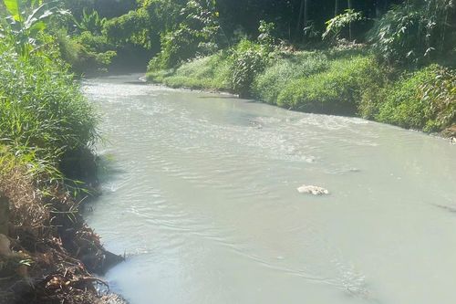 TP Đồng Xoài treo thưởng 10 triệu đồng cho người phát hiện thủ phạm phát tán mùi hôi