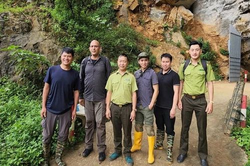 Phát hiện virus Corona ở dơi móng ngựa