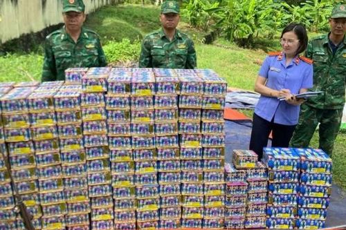 Gia Lai: Phát hiện gần 600 kg pháo nổ trong vườn cà phê