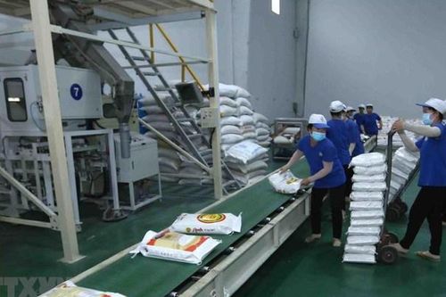Thua lỗ 30 tỷ trong 9 tháng đầu năm, Trung An (TAR) phải giải thể 2 công ty con
