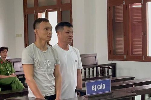 Tuyên án 'lâm tặc' đẩy gỗ xuống đường khiến 1 công an trọng thương