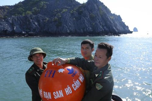 Khi san hô 'kêu cứu': Tập đoàn TH tiên phong, cùng phục hồi thiên nhiên