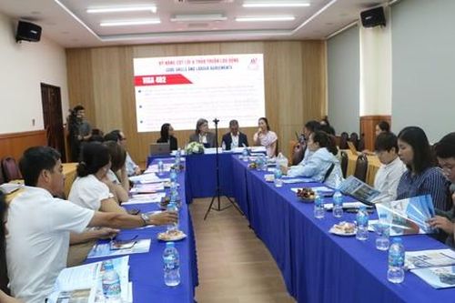 Công ty du học 'chui' mời người nước ngoài đến tư vấn khách hàng