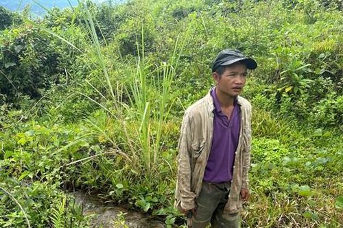 Thủy điện đền bù vì xả nước gây chết 600 cây keo của người dân