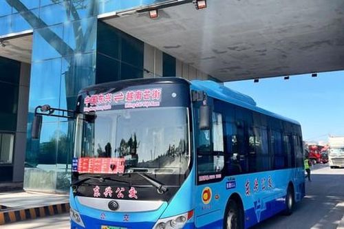 Khôi phục tuyến vận tải khách Việt - Trung sau 2 năm tạm dừng