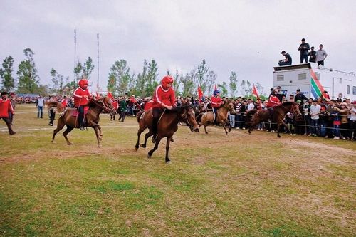 Lặng lẽ vó ngựa Tuy An