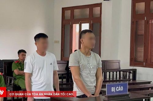 Lâm tặc hất gỗ xuống đường làm Công an bị thương nặng