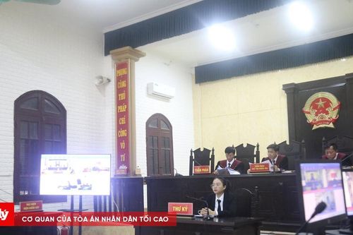 TAND tỉnh Quảng Bình xét xử phúc thẩm vụ án tàng trữ trái phép chất ma túy