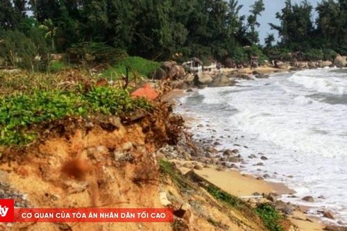 Quảng Ngãi: Chỉ đạo kiểm tra tình hình sạt lở bờ biển
