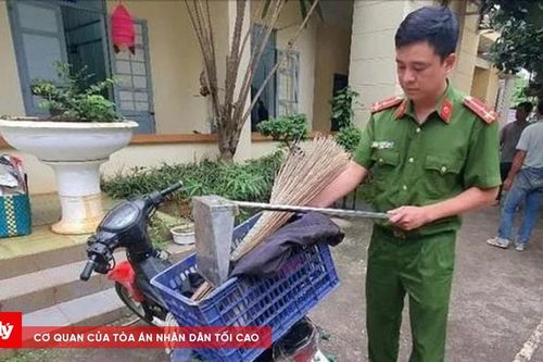 Bắt đối tượng giả làm lao công gây ra hàng loạt vụ trộm cắp
