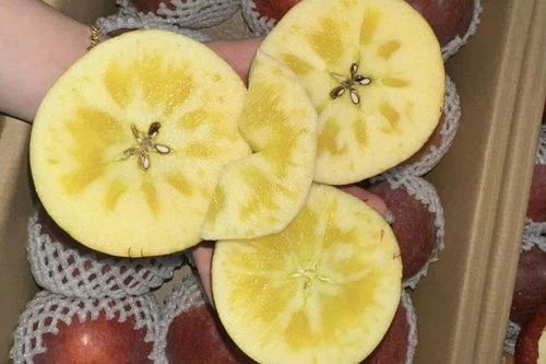 'Táo mật Trung Quốc giá chỉ 10 nghìn/kg mà ngon như táo Nhật tiền triệu'?