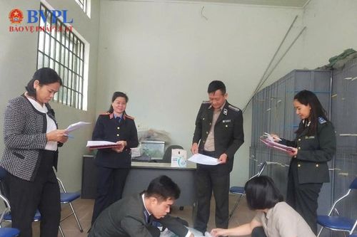 VKSND tỉnh Điện Biên kiểm sát tiêu hủy vật chứng các vụ án hình sự